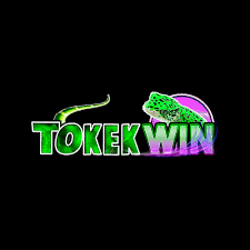 TOKEKWIN - Pertahanan Menara yang Seru dan Menantang